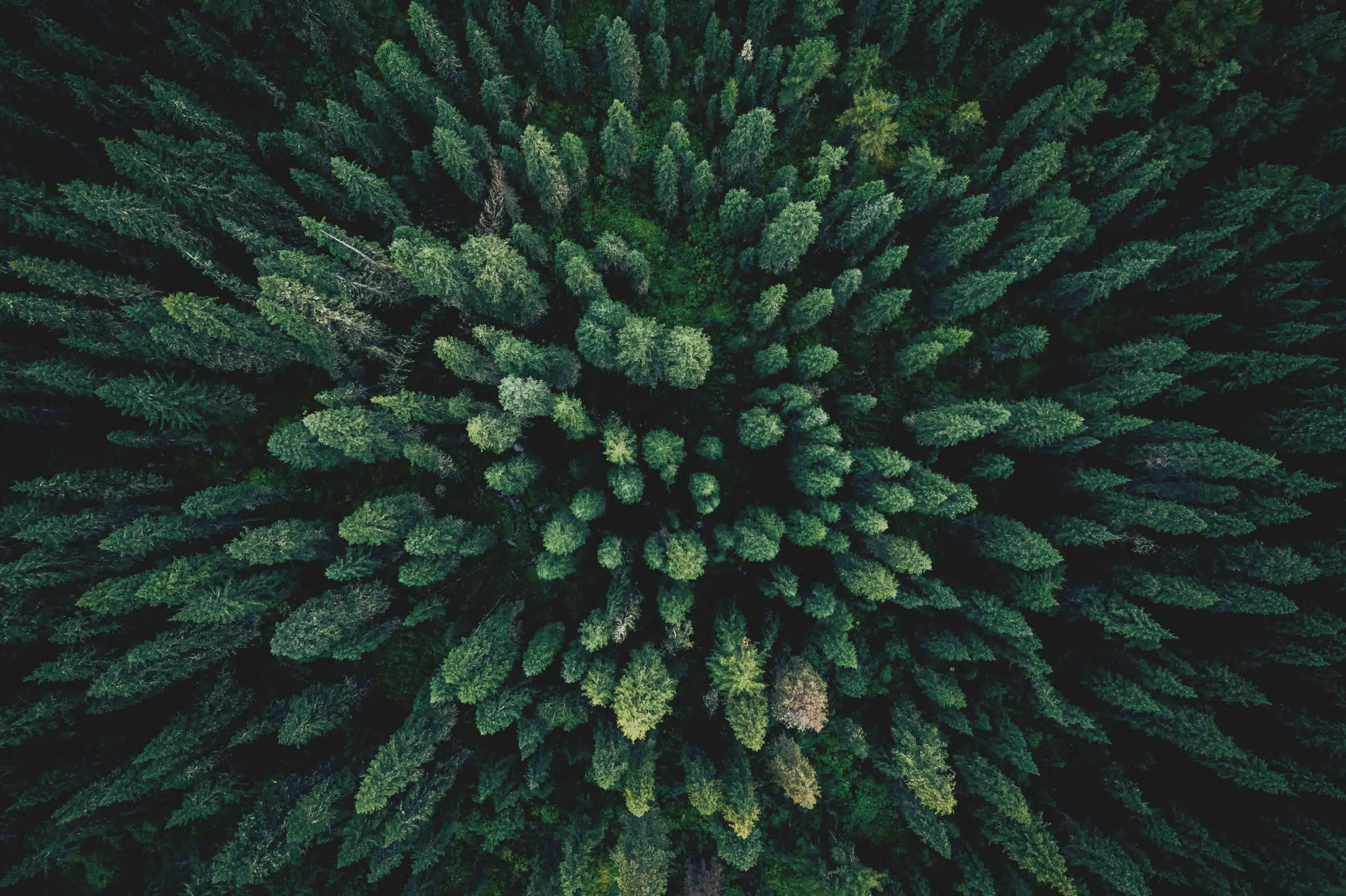 LA PRÉSERVATION DE L’ENVIRONNEMENT, UN ENJEU DURABLE 
